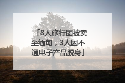 8人旅行团被卖至缅甸，3人因不通电子产品脱身